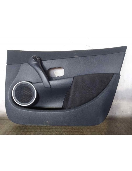 GUARNECIDO PUERTA DELANTERA DERECHA RENAULT CLIO III - 214015