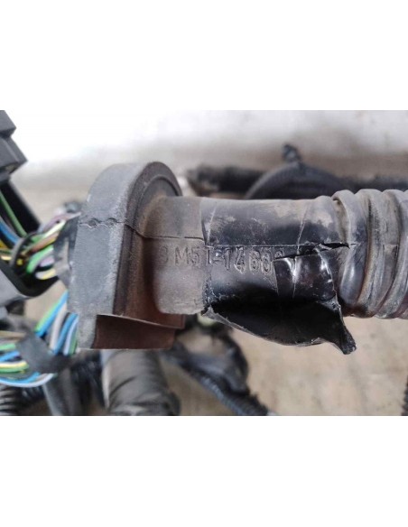 NO IDENTIFICADO FORD C-MAX (CB7) - 191502