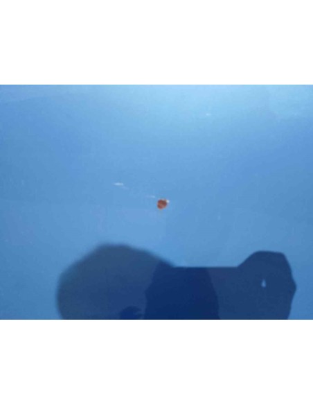 PUERTA TRASERA IZQUIERDA SEAT CORDOBA BERLINA (6L2) - 235096