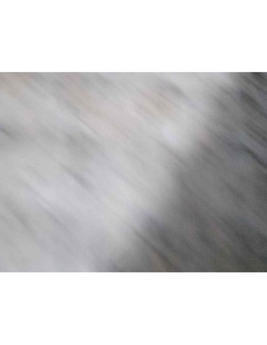 MOLDURAS TRASERAS FIAT DUCATO 3 FURGÓN 33 - 217041