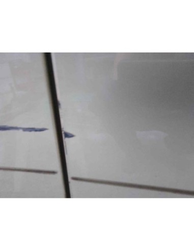 PUERTA DELANTERA DERECHA SMART FORFOUR - 245455