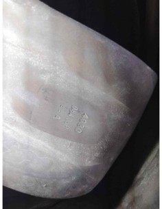 LLANTA RENAULT SCENIC III (JZ) - 231661 2