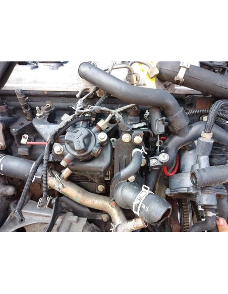 DESPIECE MOTOR FORD FOCUS BERLINA (CAK) - 151209