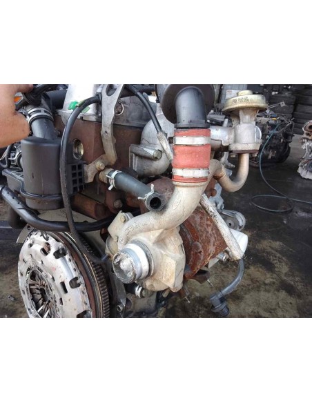 DESPIECE MOTOR FORD FOCUS BERLINA (CAK) - 151209