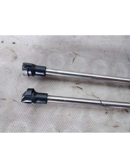 AMORTIGUADORES MALETERO / PORTON VOLKSWAGEN GOLF IV BERLINA (1J1)(10 1997) - 101400