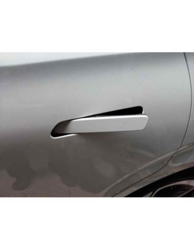 MANETA EXTERIOR TRASERA IZQUIERDA » OTROS...