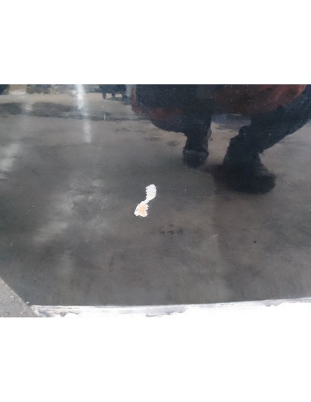 PORTON TRASERO MERCEDES-BENZ CLASE ML (BM 163) - 100446