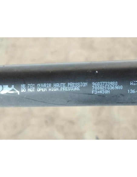 AMORTIGUADORES MALETERO / PORTON CITROEN C3 - 95923