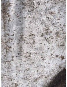 CAJA CAMBIOS MAZDA MX-3 (EC) - 99524 2