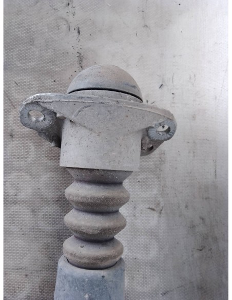 AMORTIGUADOR TRASERO IZQUIERDO VOLKSWAGEN GOLF IV BERLINA (1J1)(10 1997) - 101399