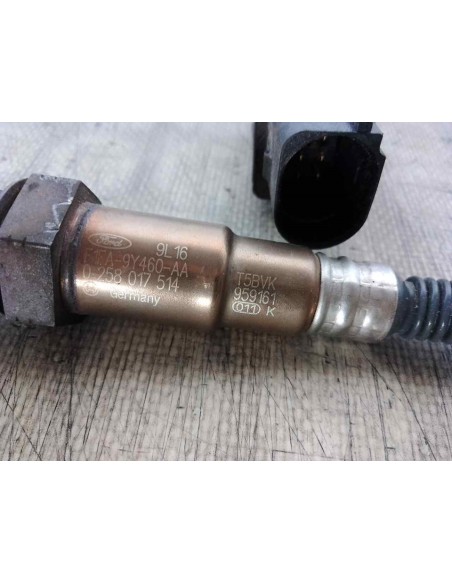 SONDA LAMBDA FORD KUGA (CBS) - 110925