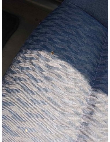 ASIENTO DELANTERO DERECHO BMW SERIE 3 BERLINA...