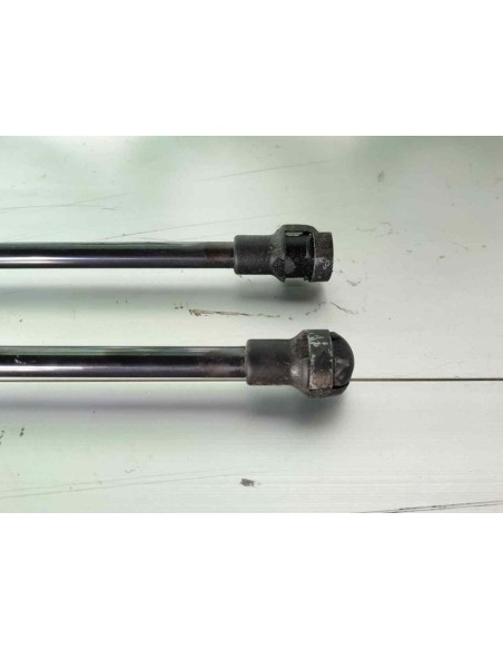 AMORTIGUADORES MALETERO / PORTON CITROEN C4 PICASSO - 257221