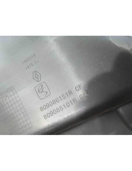 GUARNECIDO PUERTA TRASERA DERECHA DACIA SANDERO II - 238419