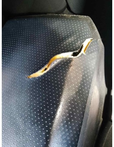 APOYABRAZOS CENTRAL SSANGYONG REXTON - 167833