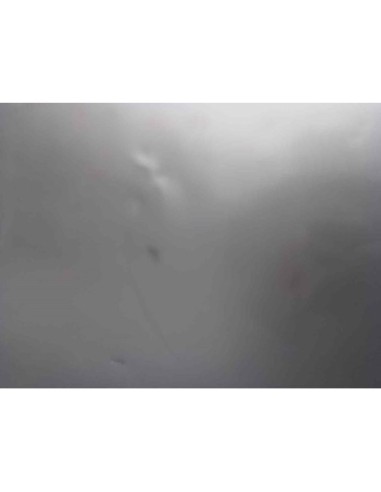 CAPO CITROEN XSARA PICASSO - 230627