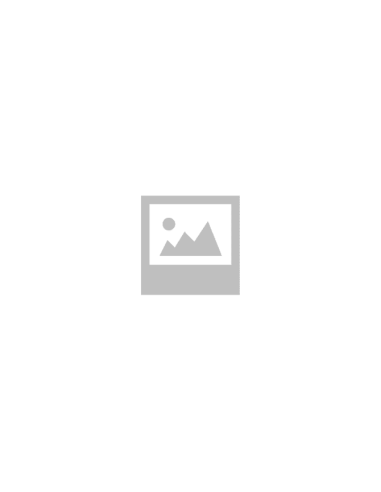 MANETA INTERIOR TRASERA IZQUIERDA DACIA LOGAN 1...