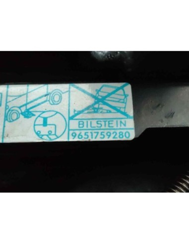 GATO PEUGEOT 407 SW - 166902