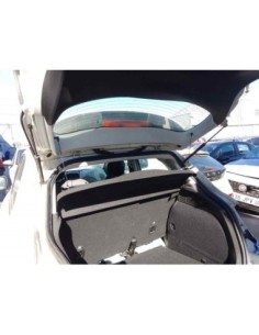 AMORTIGUADORES MALETERO / PORTON FIAT 500X (334) - 220808