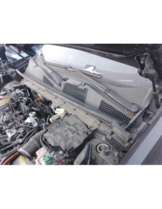 TORPEDO LYNK   CO 01 - 244038