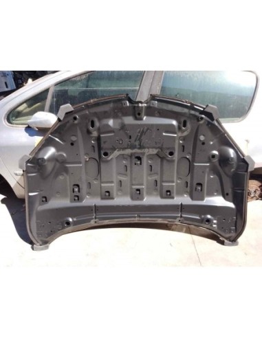 CAPO RENAULT MEGANE III BERLINA 5P - 230343