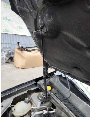 AMORTIGUADORES CAPO DACIA DUSTER II - 254149