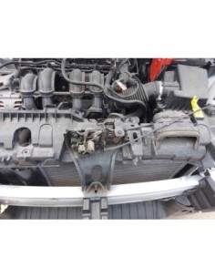 RADIADOR AGUA FORD KA+ (CDU) - 230062