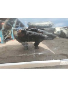 PUERTA DELANTERA DERECHA RENAULT SCENIC II (JM) - 255610 2