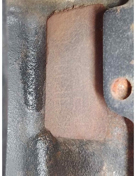 MOTOR COMPLETO RENAULT CLIO III - 230573