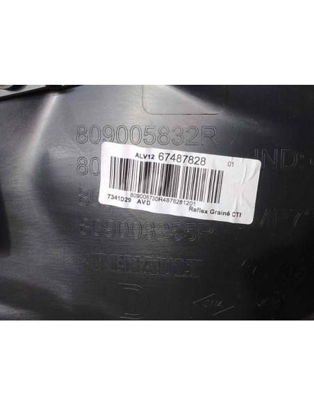 GUARNECIDO PUERTA DELANTERA DERECHA RENAULT CLIO IV - 205722