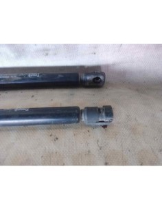 AMORTIGUADORES MALETERO / PORTON RENAULT SCENIC II (JM) -... 2