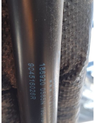 AMORTIGUADORES MALETERO / PORTON RENAULT KADJAR...