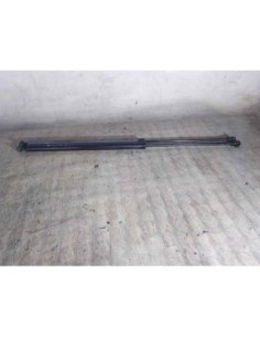 AMORTIGUADORES MALETERO / PORTON PEUGEOT 206 - 255667