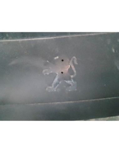 PORTON TRASERO PEUGEOT 207 - 266052