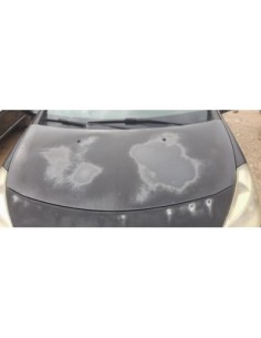 CAPO RENAULT CLIO III - 270601