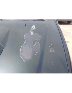 CAPO KIA CARNIVAL II (FL) - 152832 2