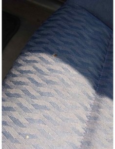 ASIENTO DELANTERO DERECHO BMW SERIE 3 BERLINA (E46) - 207760 2