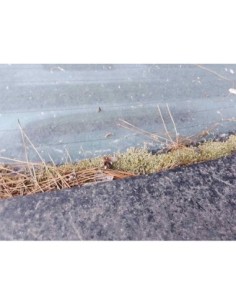 LUZ CENTRAL DE FRENO MERCEDES-BENZ CLASE E (BM 210)...