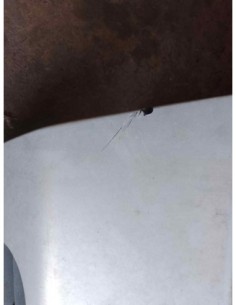 REJILLA DELANTERA FIAT DUCATO 3 FURGÓN 33 - 217059 2