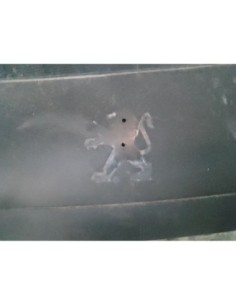 PORTON TRASERO PEUGEOT 207 - 266052 2