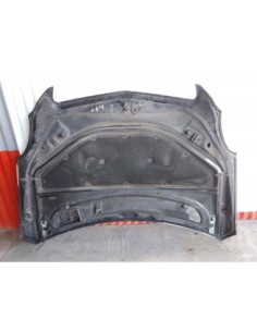 CAPO MERCEDES-BENZ CLASE R (BM 251) - 170058 2