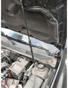 AMORTIGUADORES CAPO DACIA DUSTER II - 254149