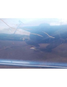 PUERTA DELANTERA IZQUIERDA VOLKSWAGEN POLO III BERLINA... 2