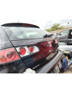PORTON TRASERO SEAT IBIZA (6L1) - 247802