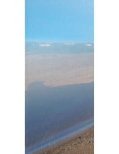 PUERTA TRASERA DERECHA RENAULT MEGANE III BERLINA 5P -... 2