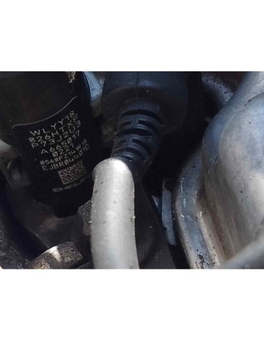 DESPIECE MOTOR SSANGYONG REXTON - 167781