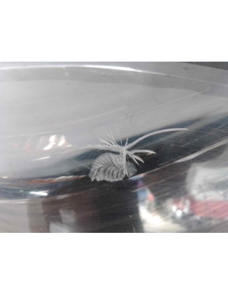 PILOTO TRASERO IZQUIERDO OPEL ASTRA H GTC - 159972