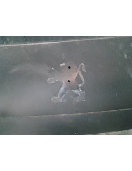 PORTON TRASERO PEUGEOT 207 - 266052