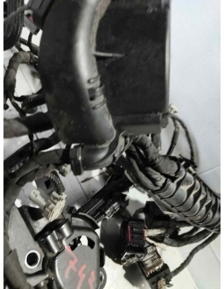 CABLEADO ELECTRICO MERCEDES-BENZ CLASE E (BM 213) BERLINA - 277333