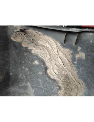 PARAGOLPES DELANTERO RENAULT KANGOO II (F/KW0)...